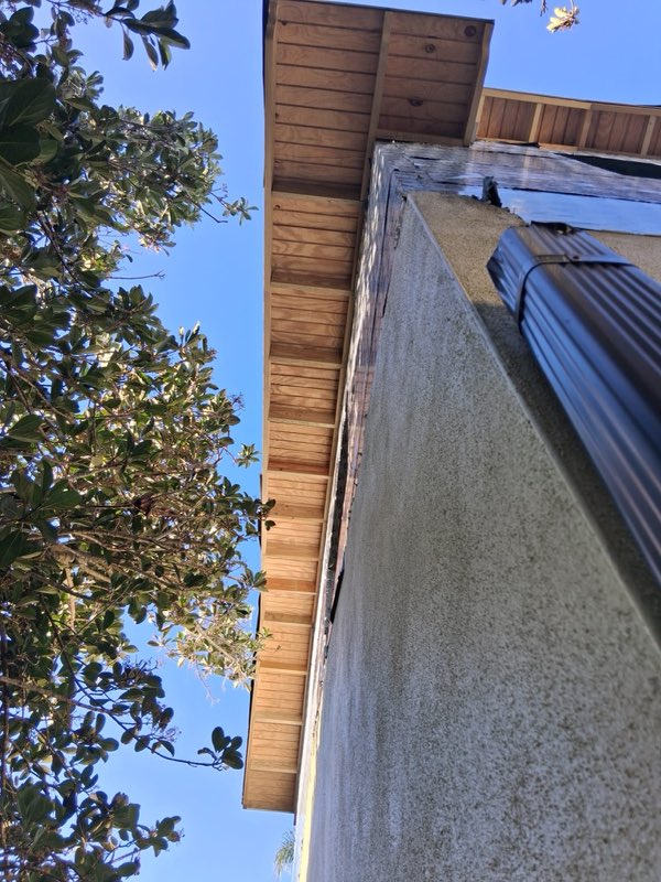 Fresh wood eave and stucco wall detail
